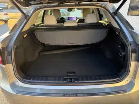 More photos of 2019 Lexus RX 350 at Dream Work Automotive, NC