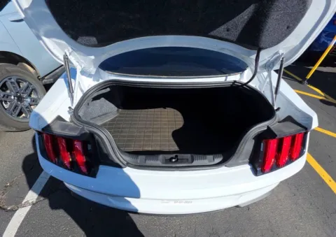 More photos of 2019 Ford Mustang GT at Dream Work Automotive, NC