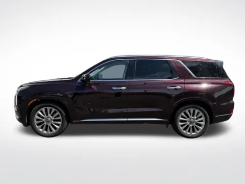 Another view of 2020 Hyundai Palisade Limited for sale in Charlotte, NC at Dream Work Automotive