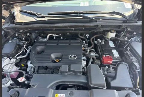 More photos of 2024 Lexus NX 250 Premium at Dream Work Automotive, NC