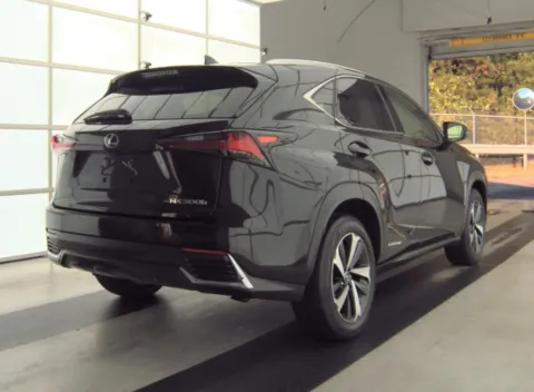 More photos of 2020 Lexus NX 300h at Dream Work Automotive, NC