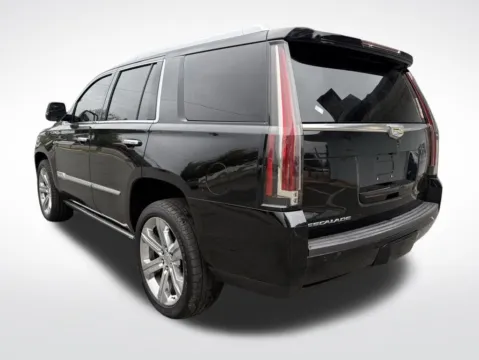 More photos of 2016 Cadillac Escalade Platinum Edition at Dream Work Automotive, NC