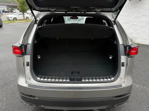 More photos of 2020 Lexus NX 300 F Sport at Dream Work Automotive, NC