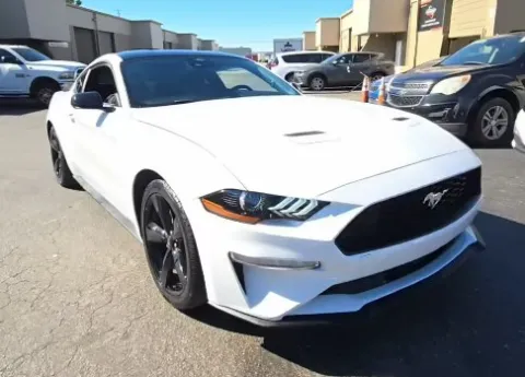 White 2021 FORD MUSTANG for sale in Columbus, OH