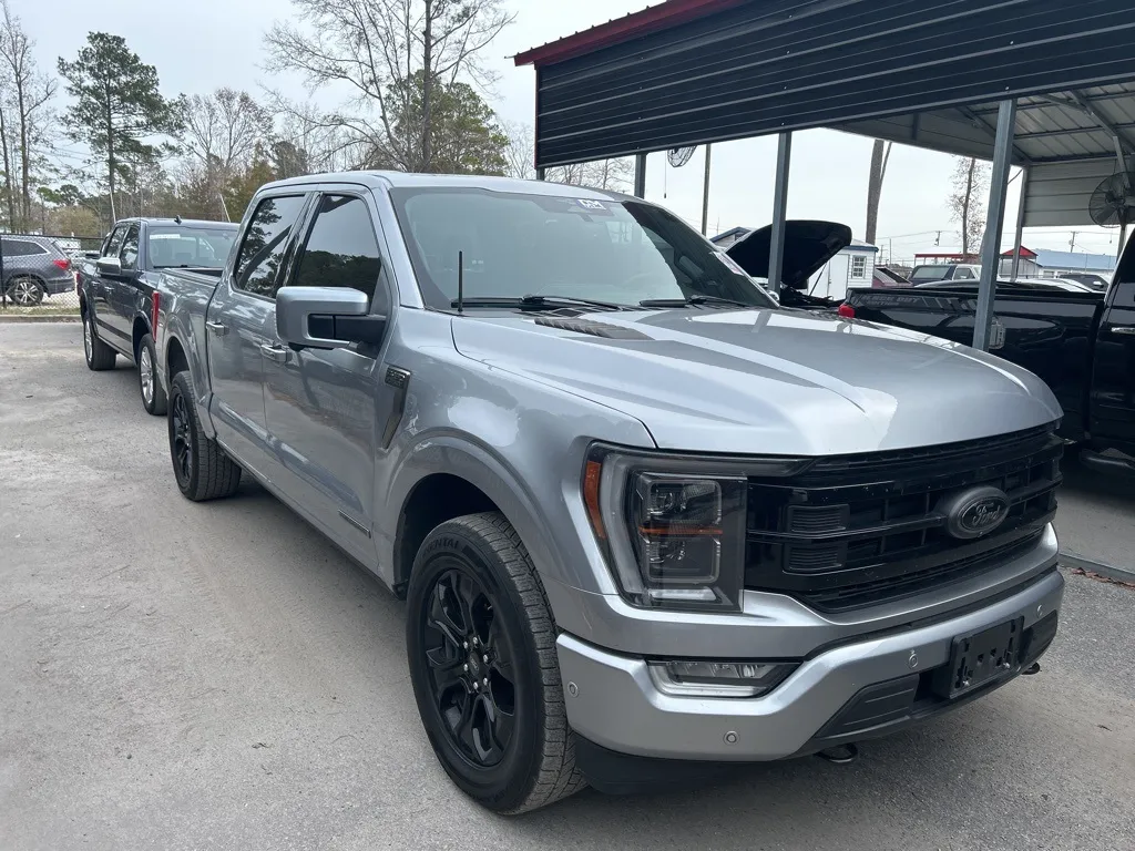 2023 Ford F-150 Platinum for sale in Summerville, SC