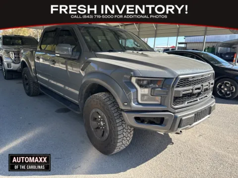 Gray 2018 Ford F-150 Raptor for sale in Summerville, SC