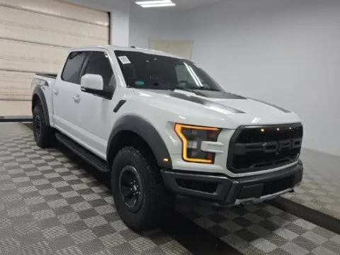 White 2018 Ford F-150 Raptor for sale in Summerville, SC