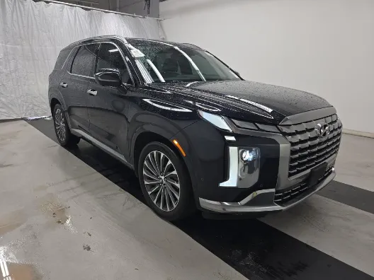 Blue 2024 Hyundai Palisade Calligraphy for sale in Summerville, SC