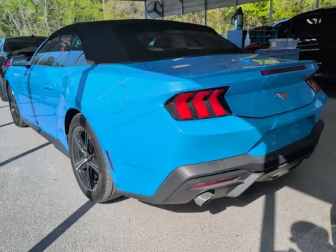 More photos of 2025 Ford Mustang EcoBoost Premium at Automaxx of the Carolinas, SC