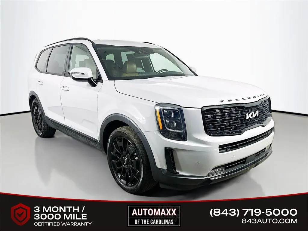 Gray 2022 Kia Telluride SX for sale in Summerville, SC