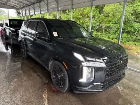Black 2024 Hyundai Palisade Calligraphy Night Edition for sale in Summerville, SC