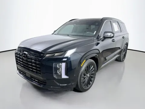 Another view of 2024 Hyundai Palisade Calligraphy Night Edition for sale in Summerville, SC at Automaxx of the Carolinas