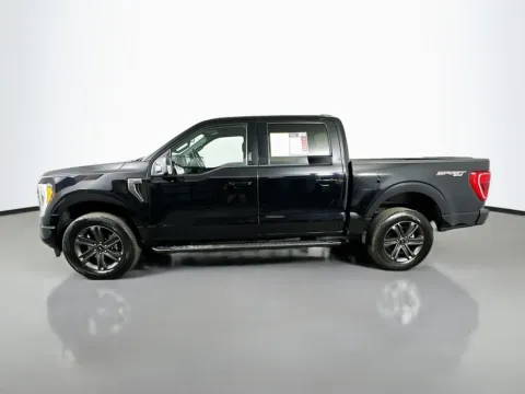 More photos of 2023 Ford F-150 XLT at Automaxx of the Carolinas, SC