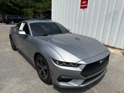 Silver 2024 Ford Mustang EcoBoost for sale in Summerville, SC