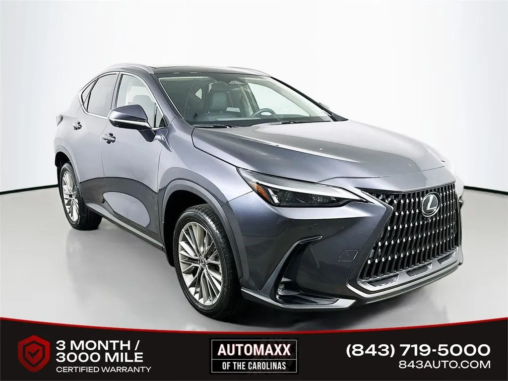 Gray 2022 Lexus NX 350 Luxury for sale in Summerville, SC