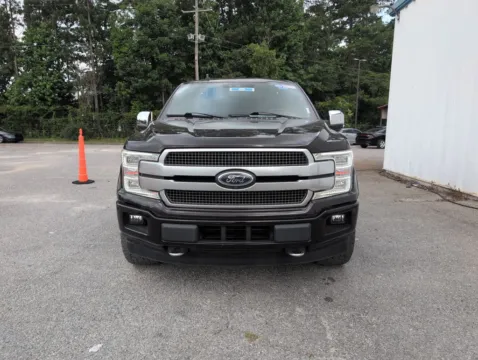 Another view of 2019 Ford F-150 Platinum for sale in Summerville, SC at Automaxx of the Carolinas