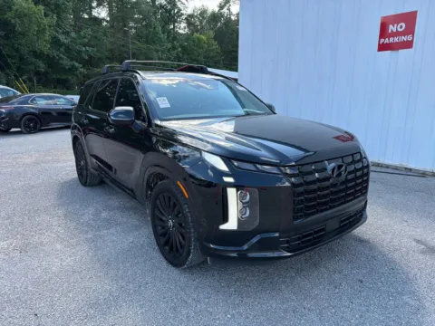 Black 2024 Hyundai Palisade Calligraphy Night Edition for sale in Summerville, SC