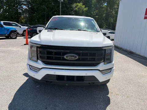 Another view of 2023 Ford F-150 Platinum for sale in Summerville, SC at Automaxx of the Carolinas