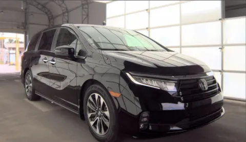 Black 2024 Honda Odyssey EX-L for sale in Summerville, SC