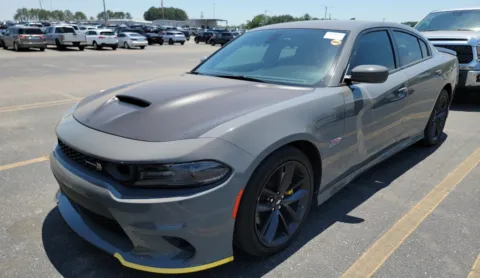 Gray 2019 Dodge Charger R/T Scat Pack for sale in Summerville, SC