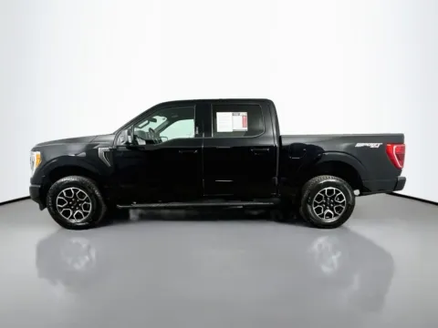 More photos of 2023 Ford F-150 XLT at Automaxx of the Carolinas, SC