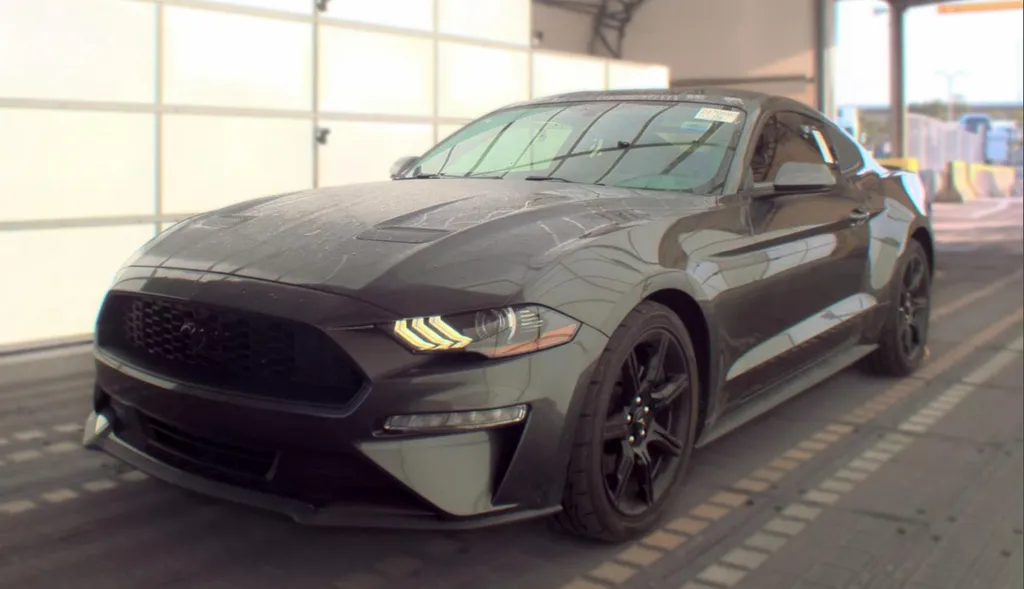 Gray 2019 Ford Mustang EcoBoost for sale in Summerville, SC