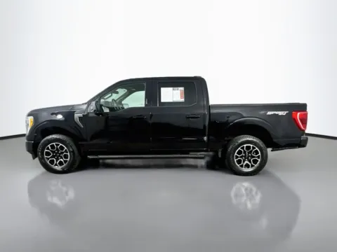 More photos of 2023 Ford F-150 XLT at Automaxx of the Carolinas, SC
