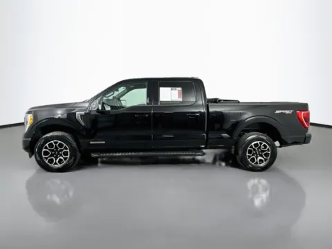 More photos of 2023 Ford F-150 XLT at Automaxx of the Carolinas, SC