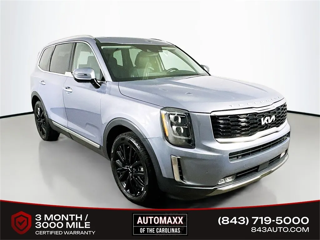Silver 2022 Kia Telluride SX for sale in Summerville, SC