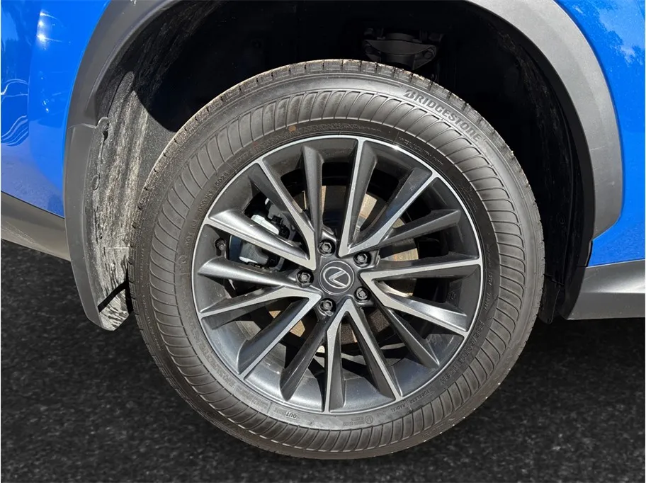 2025 Lexus NX 250 - Photo 14