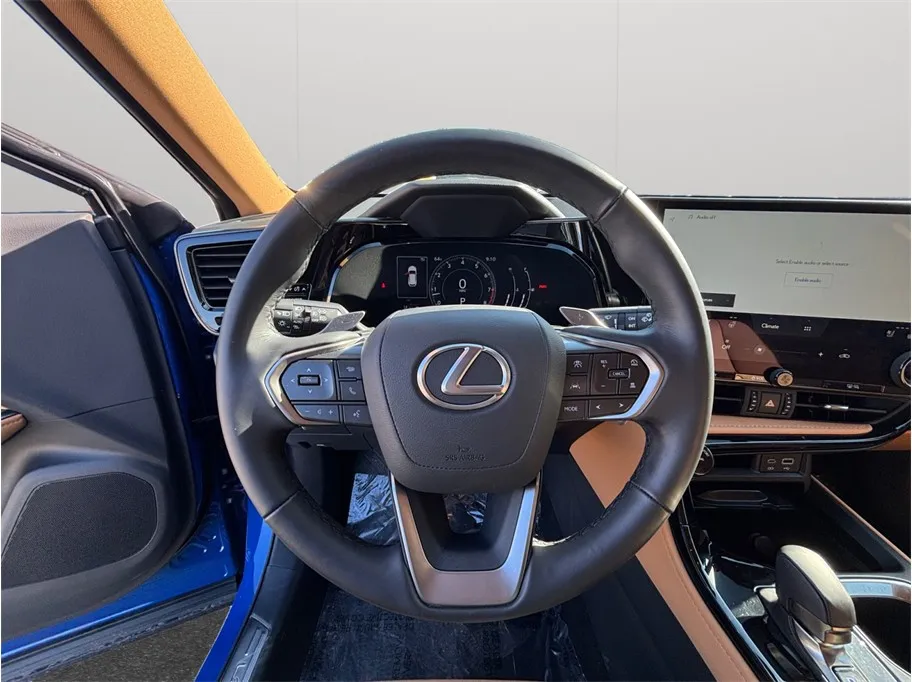 2025 Lexus NX 250 - Photo 25