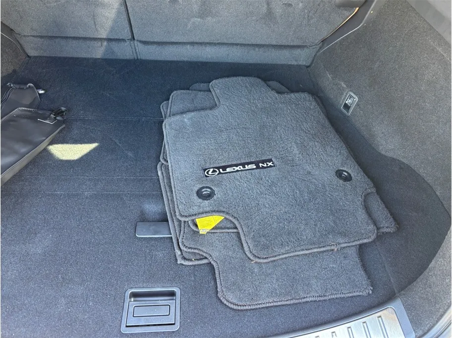 2025 Lexus NX 250 - Photo 49