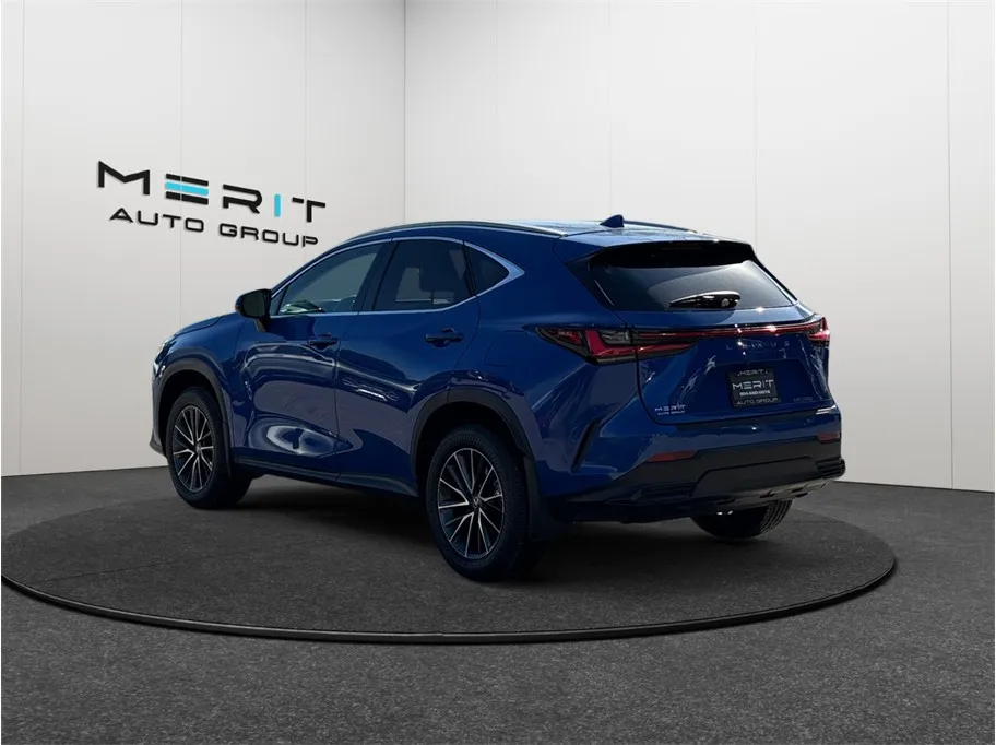 2025 Lexus NX 250 - Photo 7