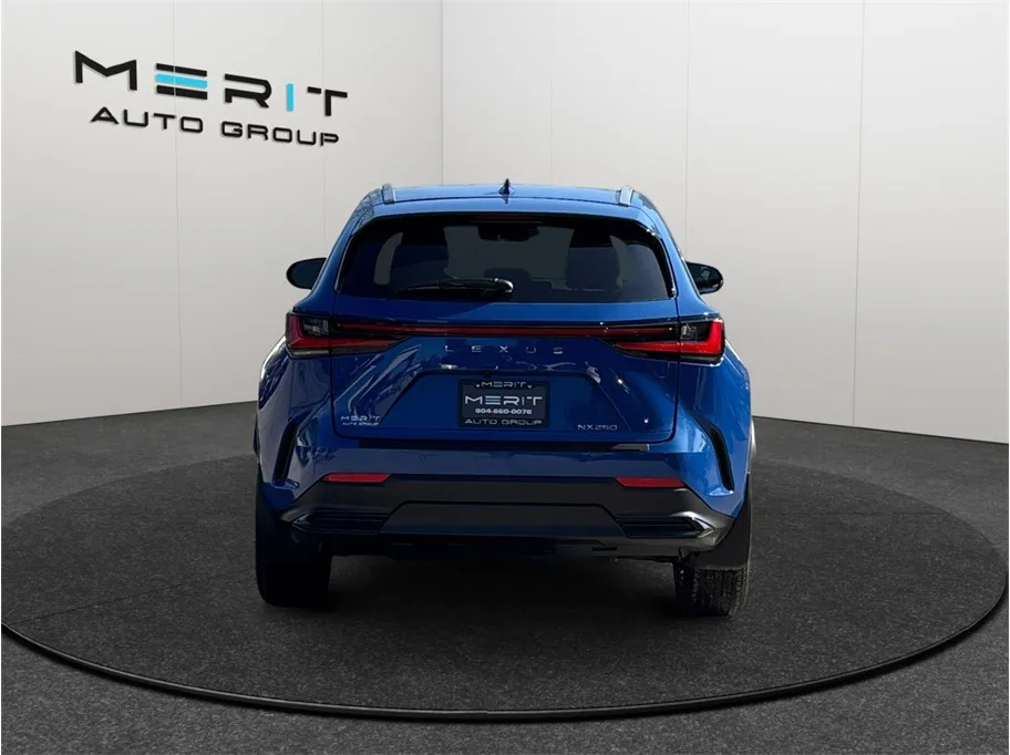 2025 Lexus NX 250 - Photo 8