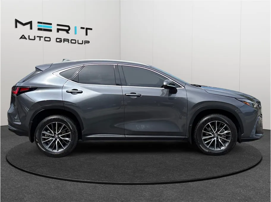 Lexus NX photo 10