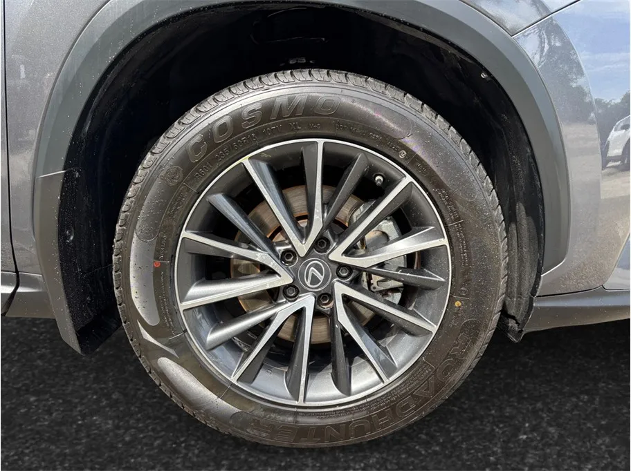 Lexus NX photo 13