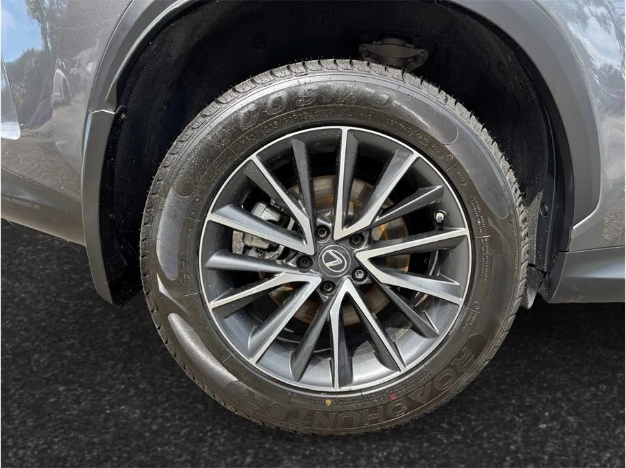 Lexus NX photo 14