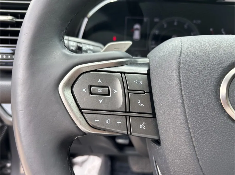Lexus NX photo 23