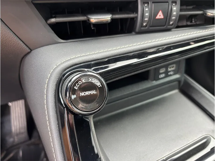 Lexus NX photo 30