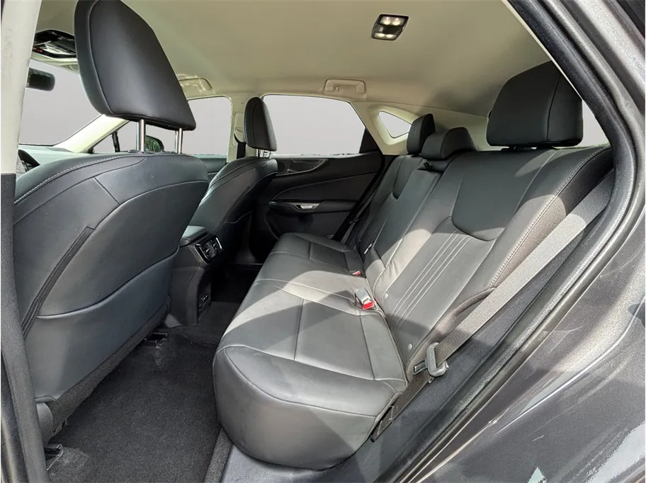 Lexus NX photo 32