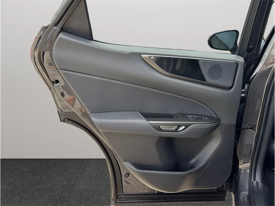 Lexus NX photo 33