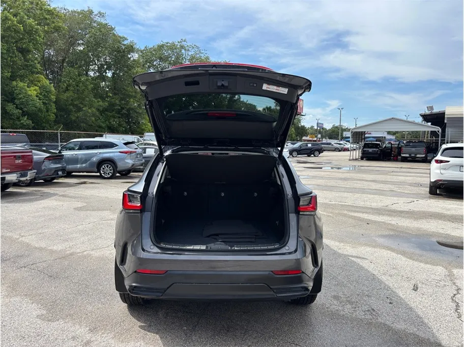 Lexus NX photo 41