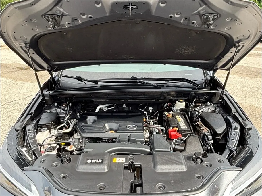 Lexus NX photo 44