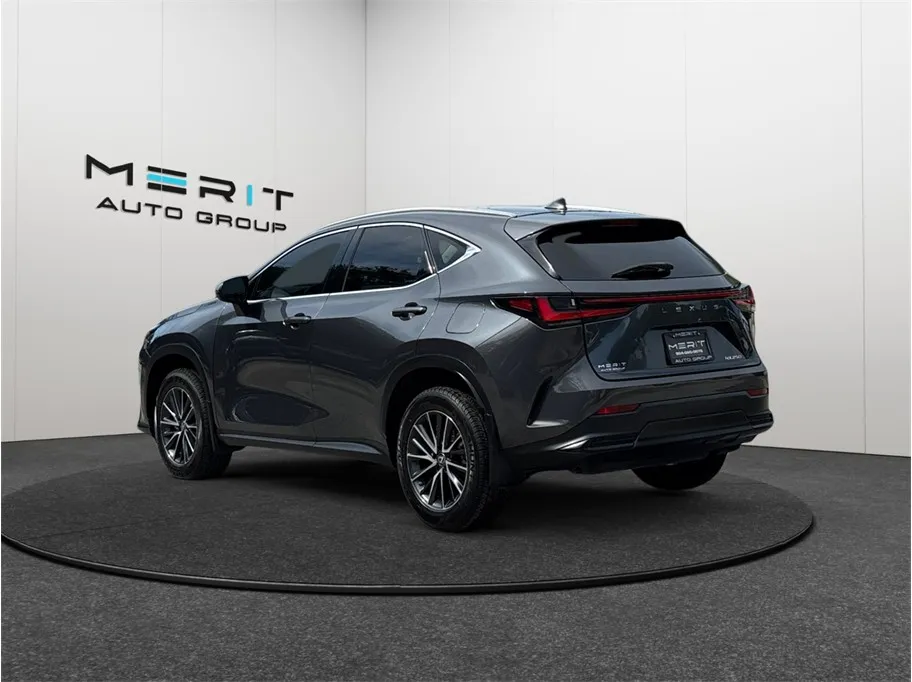 Lexus NX photo 7