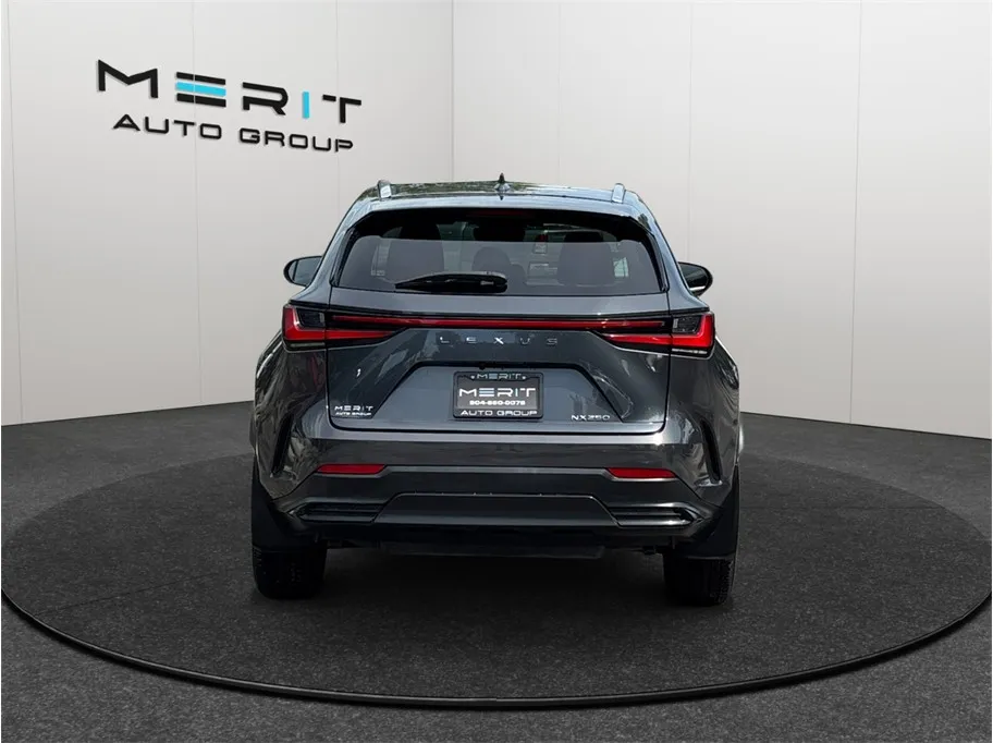 Lexus NX photo 8