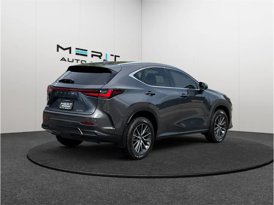 Lexus NX photo 9