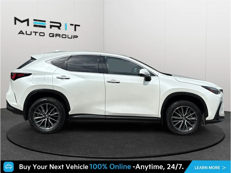Lexus NX photo 10