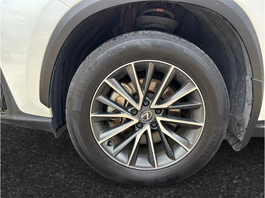 Lexus NX photo 13