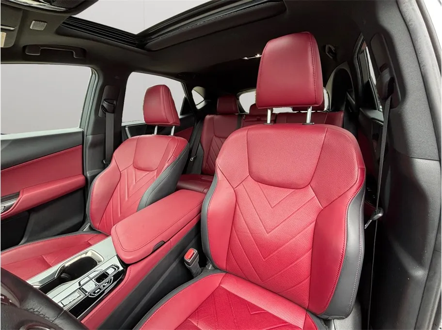 Lexus NX photo 16