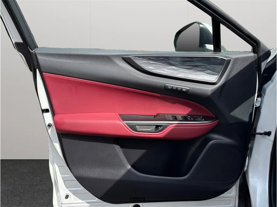 Lexus NX photo 19